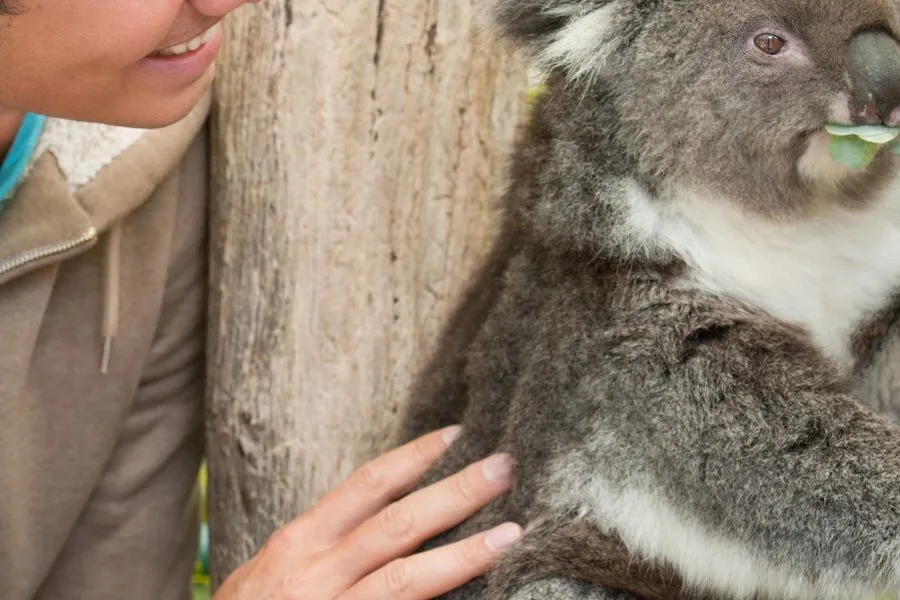 Thomas Gosewinkel, founder of Help My Mates, with Australian wildlife
